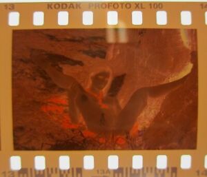 LITTLE CAPRICE by Luca Helios NUDE FOREST 2011 PICTORIAL OOAK 35mm NEGATIVE n.13