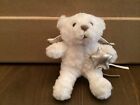 GUND 4” Plush White Teddy Bear Angel Face #8815 w/wings & star vintage with Tags