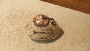 Antique Souvenir Cowrie Shell Inkwell Cataline Island Cal - Picture 1 of 2