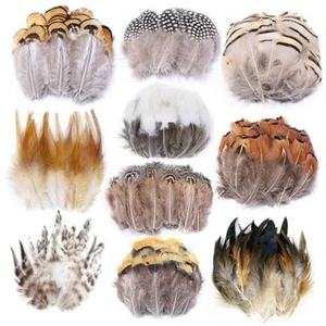 200pcs 10 Style Natural Feathers Assorted Mixed Feathers 10 Styles - 200 Pcs - Picture 1 of 8