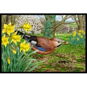 Carolines Treasures ASA2176JMAT Jay Indoor or Outdoor Mat- 24 x 36 - Picture 1 of 1