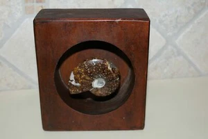 Madagascar Iridescent Ammonite display specimen wood display ART - Picture 1 of 4