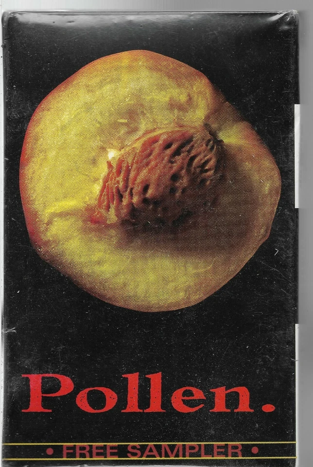 Tiny Shoes, A Clear Complexion [Promo] * by Pollen. (Cassette, 1997, Wind-Up) - Image 1 of 2