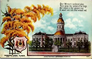 Über Missouris sonnenverwöhnte Plain State Blume Postkarte - Bild 1 von 2