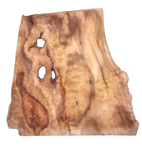 MYRTLEWOOD MASERPLATTE DRECHSELN BASTELN INTARSIEN HOLZBEARBEITUNG CA. 22x22x,5 ZOLL - Bild 1 von 2