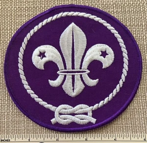 WORLD SCOUTING CREST Pfadfinderuniform Abzeichen JACKE AUFNÄHER BSA Award - Bild 1 von 2