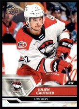 2019-20 UD AHL Base #70 Julien Gauthier - Charlotte Checkers