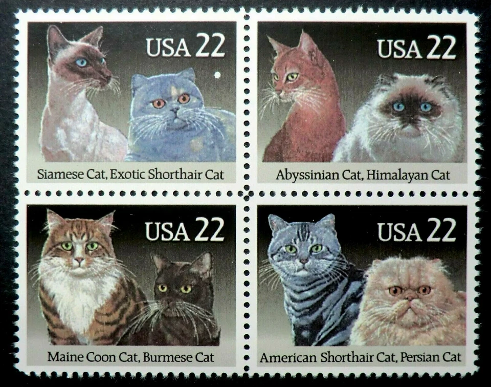 2372 - 2375 MNH 1988 22c Cats Siamese Shorthair Persian Maine Coon Burmese - Image 1 of 1