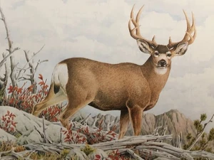 Vintage 2001 Janesville WI Advertising Calendar - Dale Thompson Wildlife Art - Picture 1 of 8