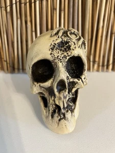 VINTAGE RANDOTTI ORIGINAL " SPINNENSCHÄDEL " # 892 LEUCHTET NOCH IM DUNKELN - Bild 1 von 8