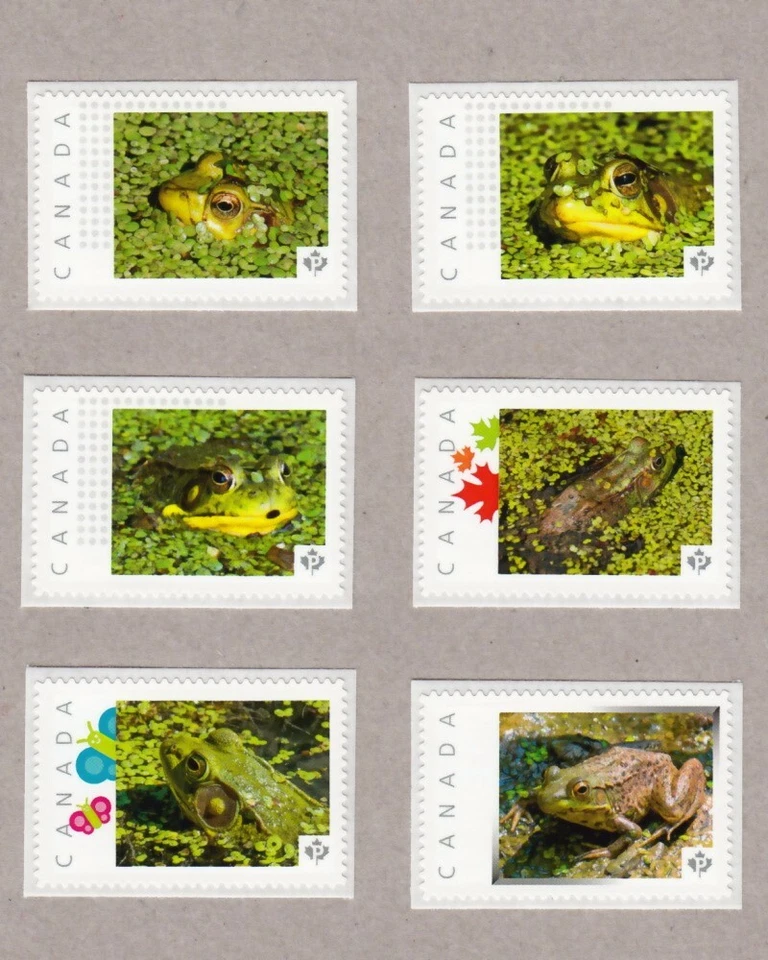 FROGS = 6 件套独特图片邮票加拿大全新邮票 2016 [p16/08fr6] — 第 1/2 张图片