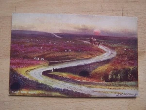 Eller Beck Yorkshire - Imagen 1 de 1