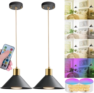 2 Pack Battery Operated Pendant Lights,Hanging Battery Light with 10000 Mah RGB - Picture 1 of 6