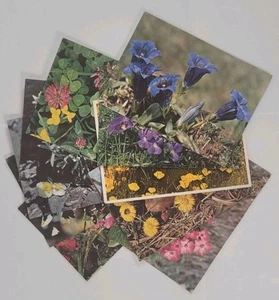 11 Blumen Postkarten Lot - Bild 1 von 10
