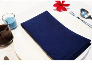 NUEVAS Servilletas de Cena Allen + Roth, Juego de 4 Servilletas 19"x 19" AZUL - Imagen 1 de 4