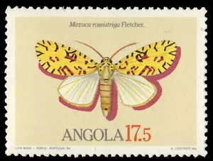 Angola 680 (Mi696) - Falena ""Mazuca roseistriga"" (Pa1634) - Foto 1 di 1