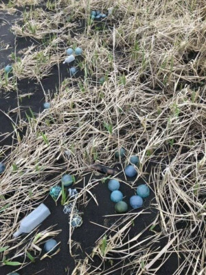  Две подлинные японские большие и маленькие скалки поплавки Аляска пляж расчесанные - Изображение 1 из 4