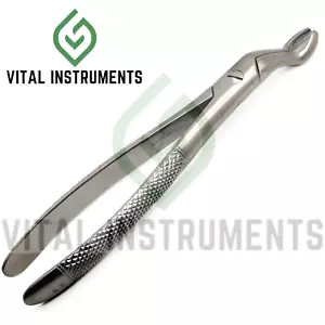 Dentale Zahnextraktionspange #67 chirurgisches Edelstahlinstrument - Bild 1 von 1