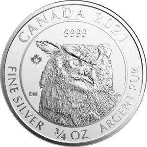2021 3/4 Canadian Silver Great Horned Owl (Reverse Proof) with Light Spotting - Picture 1 of 2