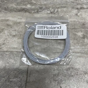 OEM Roland 1000002598 LEC-540 SP/ VP-540 VS-540i Strip Pressure Strip Knife Pad - Afbeelding 1 van 4