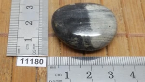 JASPE FEUILLE D'ARGENT pierre roulee TOP mineraux lithotherapie reiki collection - Picture 1 of 2