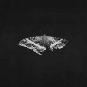 NEW Kendrick Lamar – To Pimp A Butterfly (10th Anniversary) - 2xLP Vinyl Record - Picture 1 of 2