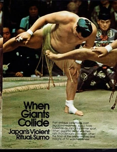 Sumo Wrestling Japan ORIGINAL ARTICLE FROM MAGZINE Lavish Illustration Adams  - Picture 1 of 1