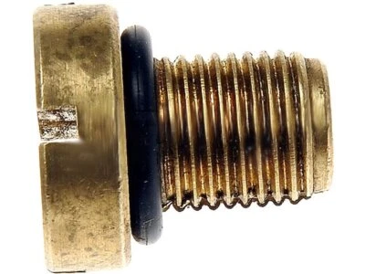 Tornillo de purga de refrigerante Dorman 28396YPDJ 2001 2002 5,0 L V8 para BMW M5 2000-2003 Foto 1 de 2