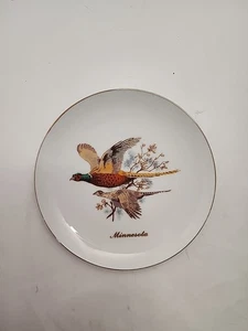 Royal Ann Minnesota Fasants dekorativer Fine China Teller - Bild 1 von 4