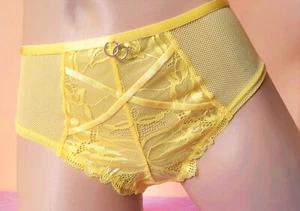 Pretty Lemon Soft Sheer Midi Panties Full Back Knickers 8 XS - US 4 - Picture 1 of 10