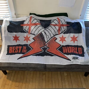 AEW X CM Punk Banner Flag • Rochester Ny Event 9/29/21 Thank You Brodie 🕊 - Picture 1 of 5