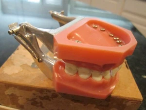 COLUMBIA DENTOFORM DENTAL MOLDING IVORINE TEETH DENTAL - IN THE BOX - TUB BBA-8 - Picture 1 of 8