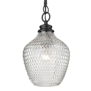 Golden Lighting 1088-M BLK-CLR Adeline - 1 Light Pendant Ceiling Light - Picture 1 of 4