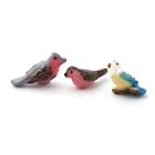 Dolls House Colourful Birds X 3 Garden Resin Animal Miniature 1:12th Scale