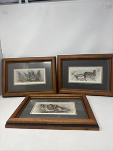 Set Of 3 Grace Feyock Signed Serigraph Limited Edition Quail & Geese Duck Prints - Picture 1 of 13