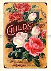 1898 John Lewis Childs Floral Park, New York roses métal panneau étain tout décor maison