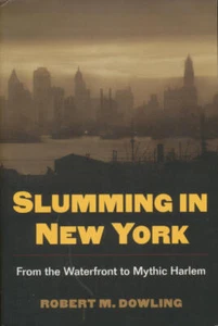 Slumming in New York: From the Waterfront to Mythic Harlem - Picture 1 of 1