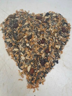 SAHAWA Ganzjahres Wildvogelfutter mit Insekten Deluxe 2,3 Kg im 5 L Eimer Vogelfutter