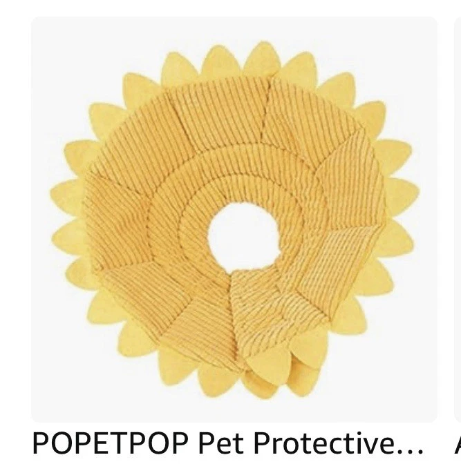 Fashionable Pet Recovery Collar Puppy Dog Cat  Wound Healing Safety - Image 1 of 1