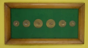 (6) individuell gerahmte & montierte Forellenfliegen - Bild 1 von 8