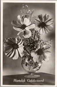 1952 RPPC Photo Greetings Postcard "Hartelijk Gefeliciteerd" Dutch Cancel - Bild 1 von 2