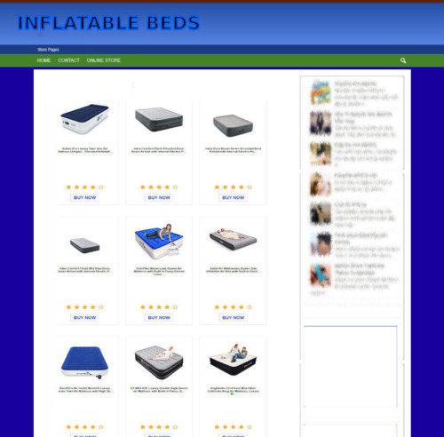INFLATABLE BEDS WEBSITE - NEW DOMAIN - eCOMMERCE STORE - FULLY STOCKED-SSL