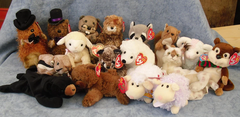  W-F-L TY Beanie Babies  Wald und Wiesentiere Bär Bieber Waschbär Eichhörnchen - Bild 1 von 1
