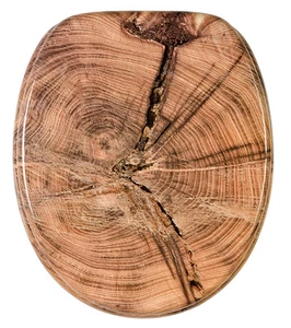 ASIENTO DE INODORO TAPA DE INODORO TAPA DE INODORO INODORO CON DESCENSO AUTOMÁTICO OLD TREE - Imagen 1 de 5