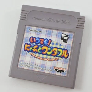 Gameboy Nintendo ITSUDEMO NYAN TO WONDERFUL Cartridge Only gbc - Picture 1 of 2