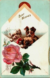Puppies Dogs in Rose Envelope Postcard Embossed DB - Picture 1 of 2