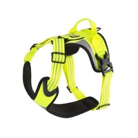 Cherry 39-47//110-175 lb Hurtta Active Harness