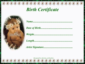 PRETTY DAISY BIRTH CERTIFICATE/CERTIFICATES 4 REBORN FAKE BABY approx 7"x 5" - Picture 1 of 4