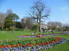 Photo 12X8 The Rose Garden Hyde Park On This Beautiful March Day This Was  C2012