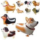 Mixed Walking Balloon Pet Dog Ballons Fashion Inflatable Toy for Party Supplies
